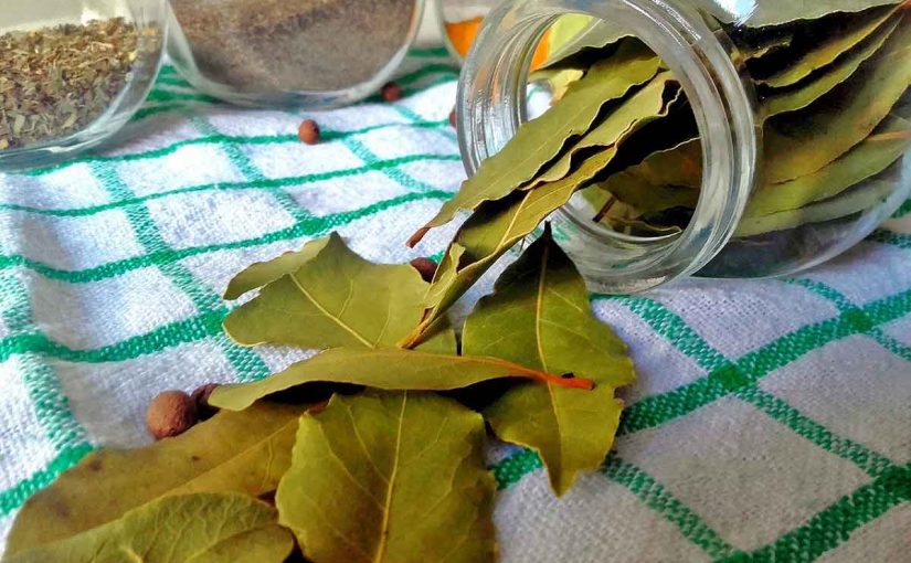  Lovorov list za kosu – začin koji briše perut!