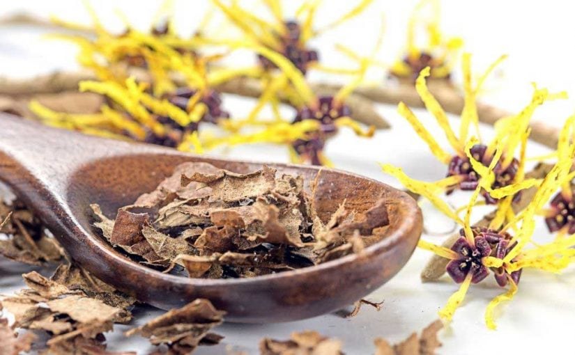  Otkrijte tajnu koju krije hamamelis za kosu!